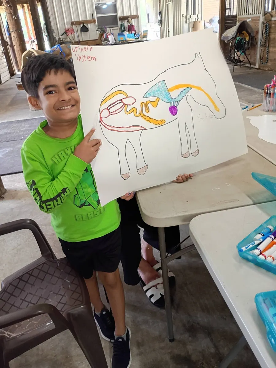 A student studying a horse anatomy diagram
