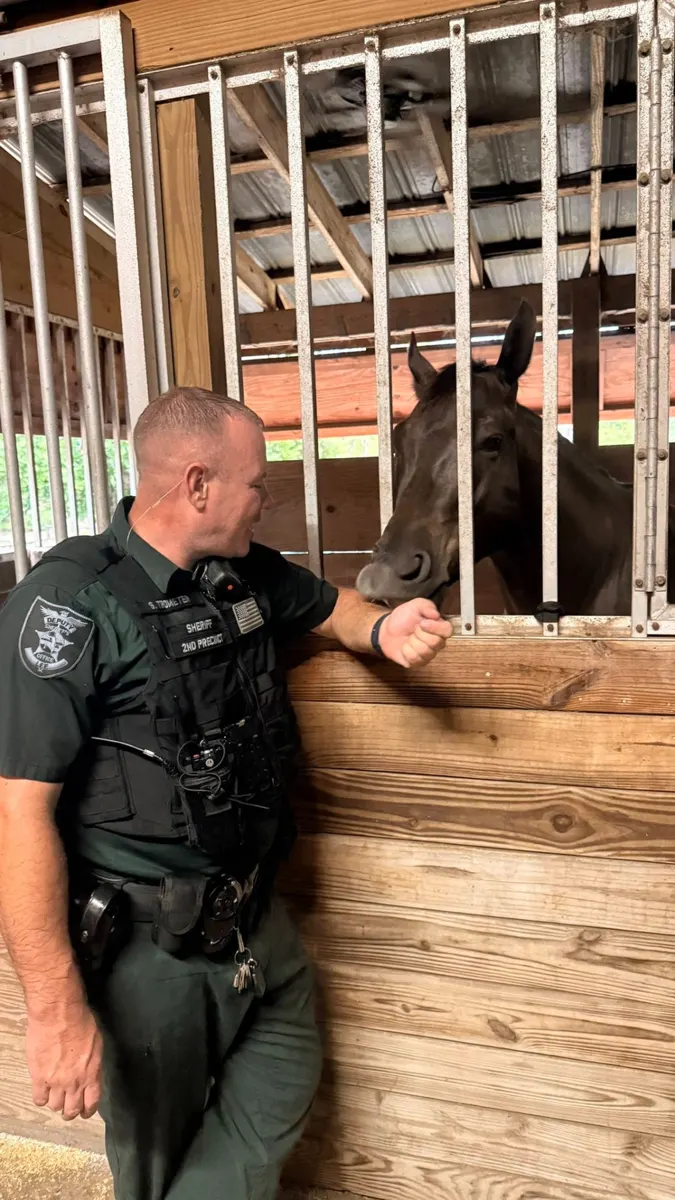 A sheriff’s deputy meeting a horse