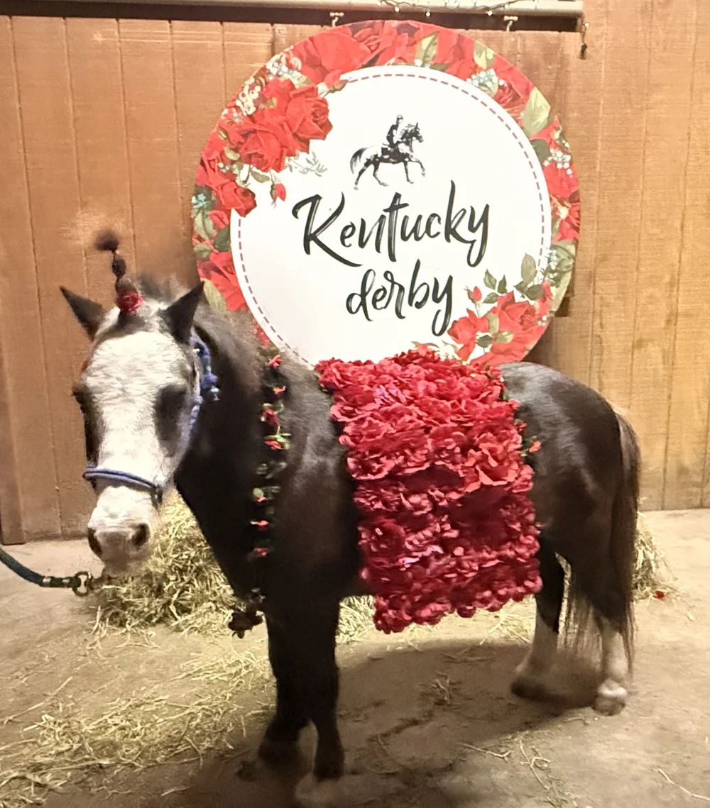 A miniature horse dressed in a rose garland in front of the Kentucky Derby sign