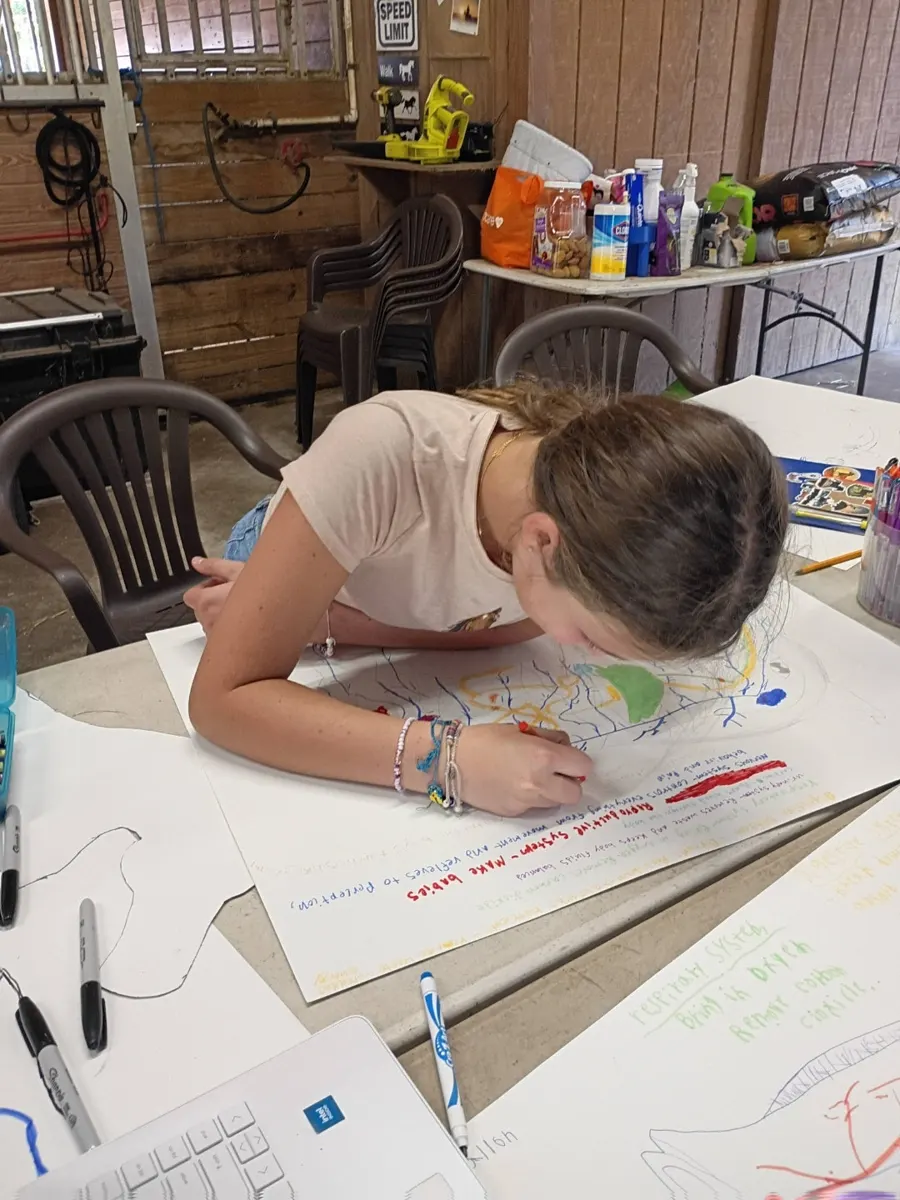 A girl drawing at the barn