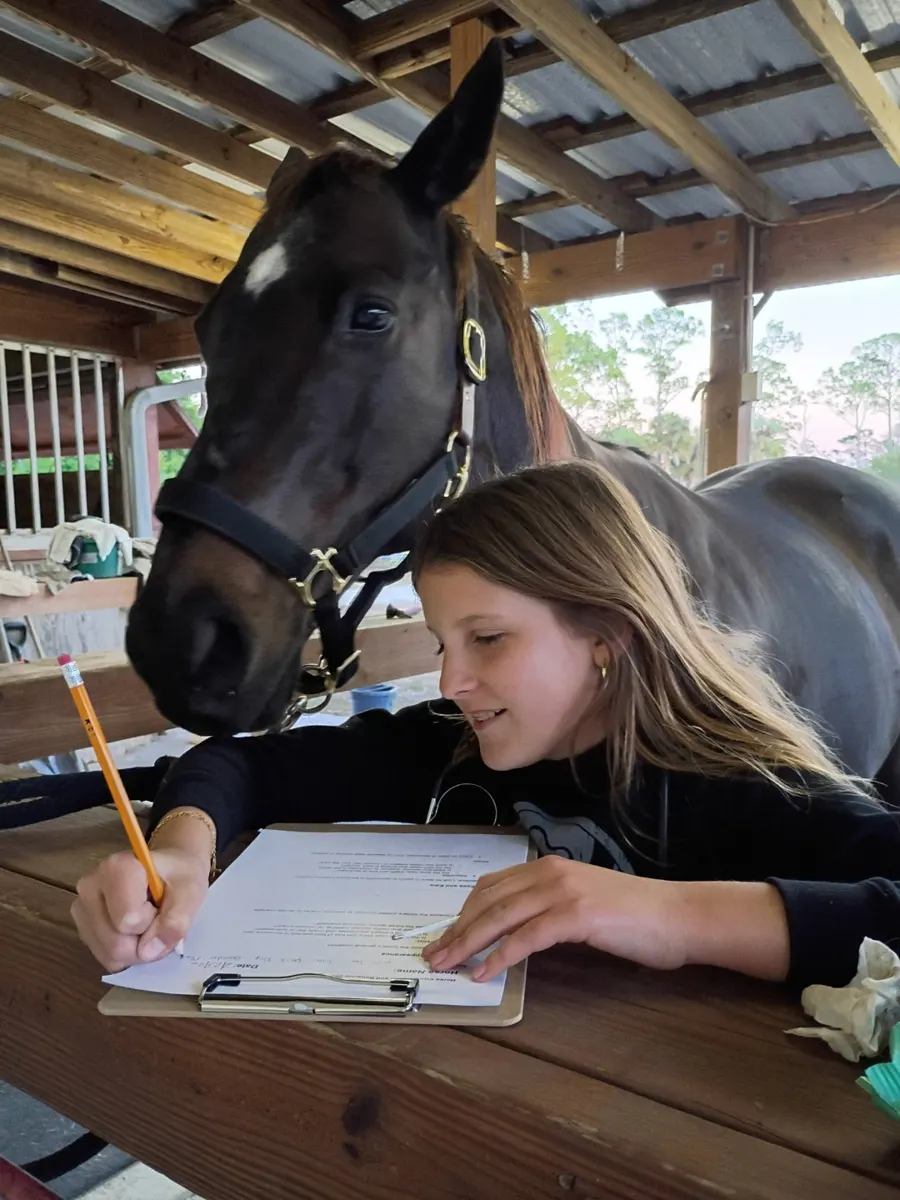 A girl studying alongside a horse