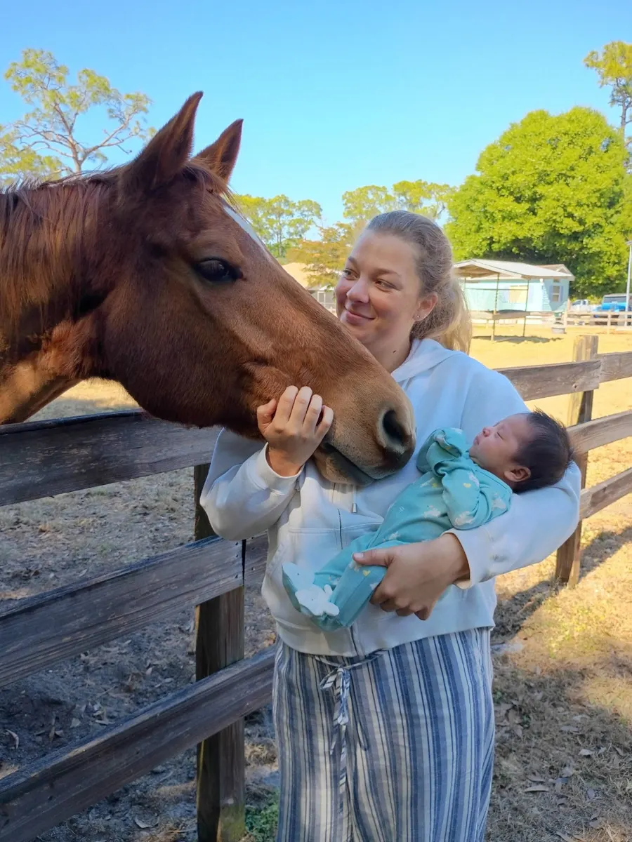 A mare with her newborn foal