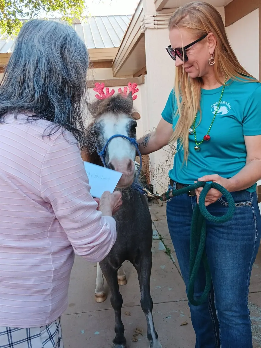 Stormy visiting the community