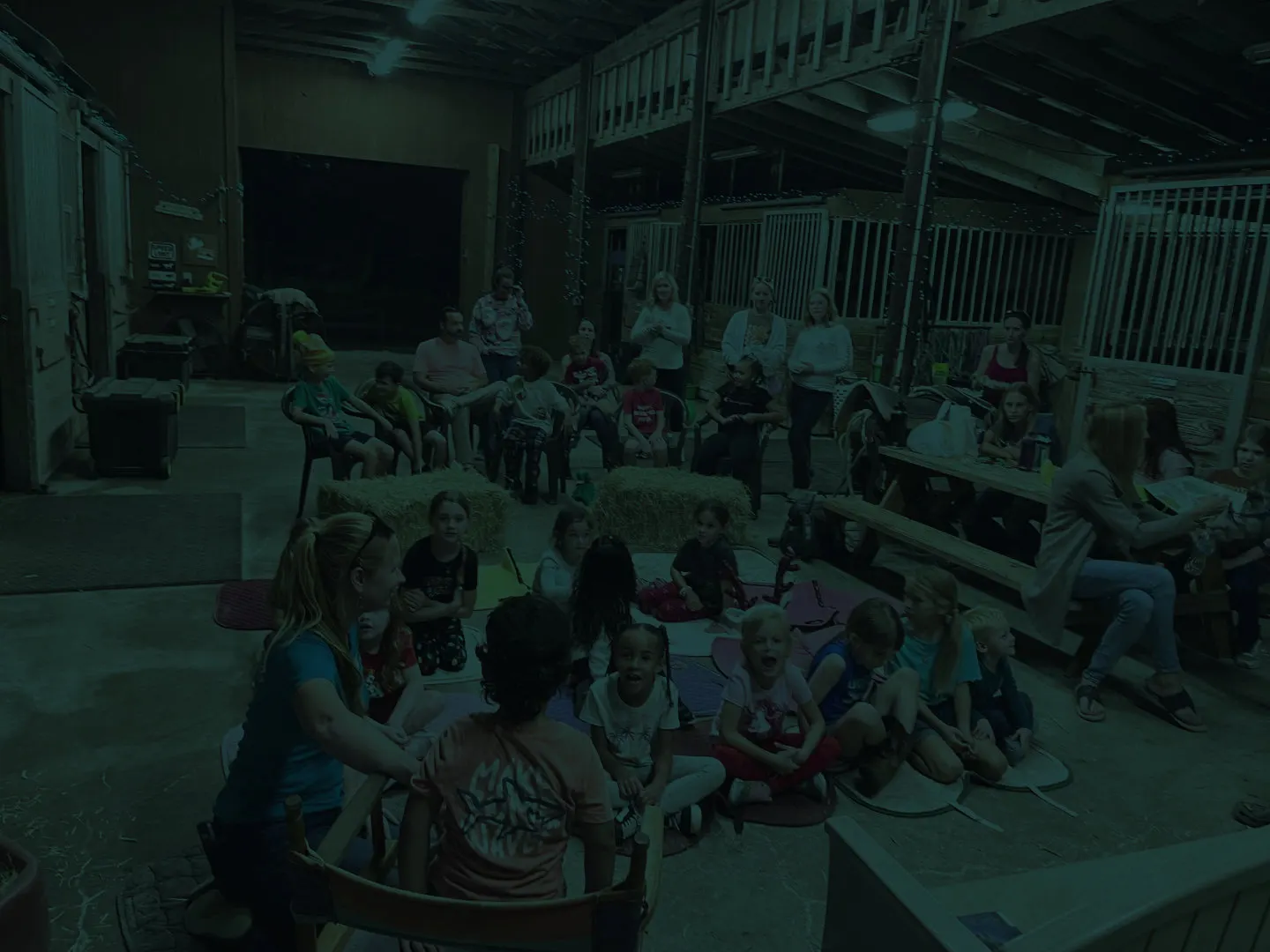 Horses and families at Animals & Kids
